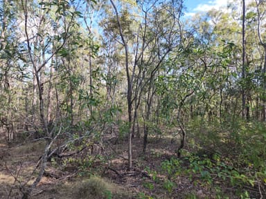 Property Lot 5 Duckpond Road, MOOLBOOLAMAN QLD 4671 IMAGE 0