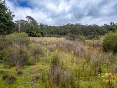 Property Part of PI Tasman Highway, WELDBOROUGH TAS 7264 IMAGE 0