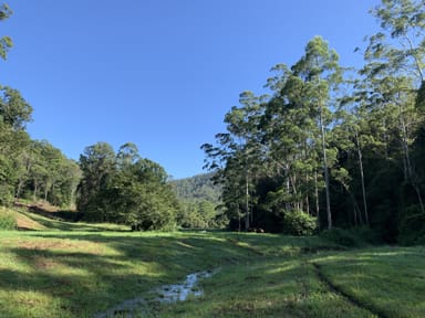 Property Lot 1 Missabotti Road, Missabotti NSW 2449 IMAGE 0