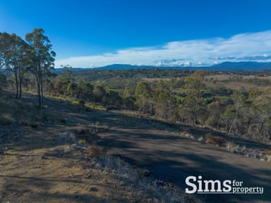 Property 101A Blackstone Road, BLACKSTONE HEIGHTS TAS 7250 IMAGE 0