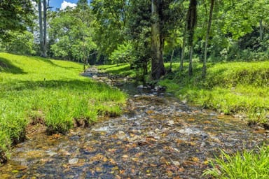 Property 650 Darkwood Road, Thora NSW 2454 IMAGE 0