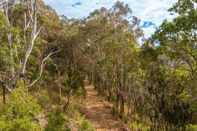 Property Lot 37 8930 Oxley Highway, MOUNT SEAVIEW NSW 2446 IMAGE 0