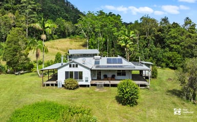 Property 239 McClelland Road, Barkers Vale NSW 2474 IMAGE 0