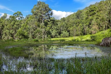 Property Lot 62-69 Duck Creek Road, Old Bonalbo NSW 2469 IMAGE 0