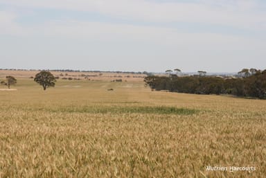 Property . Cnr Nembudding South Road & Hammond Road, KORRELOCKING WA 6485 IMAGE 0