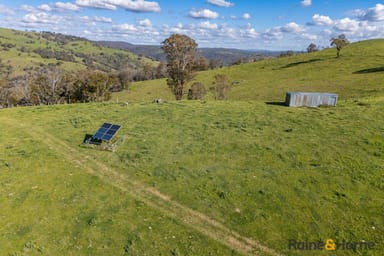 Property Lot 2, 2553 Campfire Road, WALCHA NSW 2354 IMAGE 0