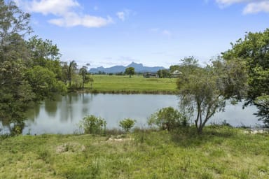 Property 193 Dulguigan Road, Dulguigan NSW 2484 IMAGE 0