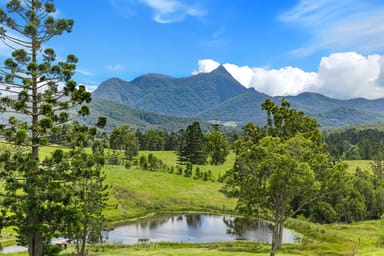 Property 24 Midginbil Road, Murwillumbah NSW 2484 IMAGE 0