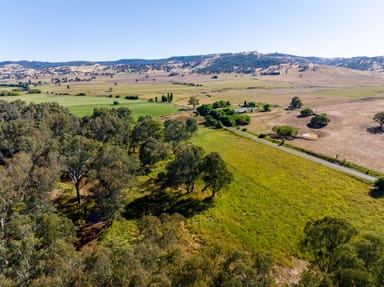 Property 2268 Westbrook Road, Oberne Creek NSW 2650 IMAGE 0