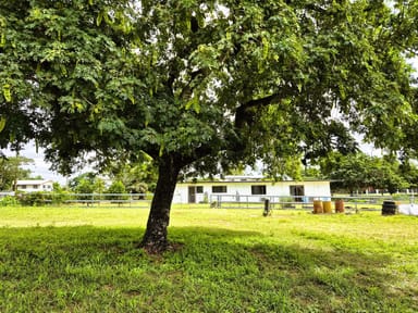 Property 19 Eleventh Avenue, Collinsville QLD 4804 IMAGE 0