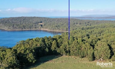 Property 921 Back River Road, Magra TAS 7140 IMAGE 0