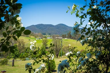 Property 2903 Mount Darragh Road, Wyndham NSW 2550 IMAGE 0