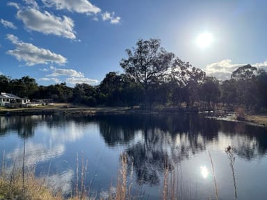 Property RUBY CREEK NSW 4380 IMAGE 0