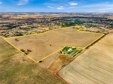 Property 70 Kinvara Road, JUNEE NSW 2663 IMAGE 0