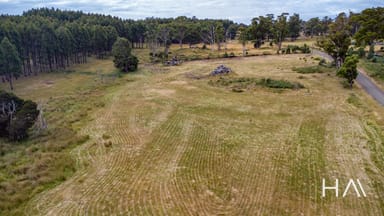 Property 12 Hunting Ground Road, Nunamara TAS 7259 IMAGE 0