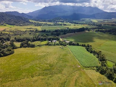 Property 817 Woopen Creek Road, Woopen Creek QLD 4871 IMAGE 0