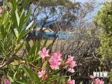 Property 18025 Tasman Highway, BICHENO TAS 7215 IMAGE 0