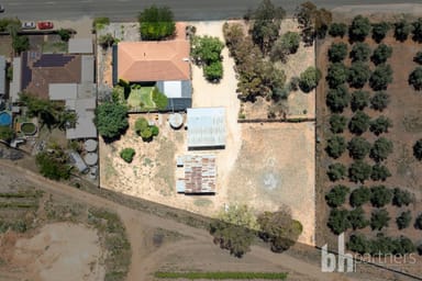 Property 16 Alamein Avenue, LOXTON NORTH SA 5333 IMAGE 0