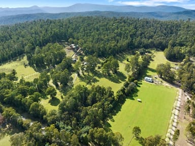 Property 1260 Maroondah Highway, Narbethong VIC 3778 IMAGE 0