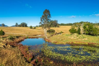 Property 231 Upper Rollands Plns Rd, ROLLANDS PLAINS NSW 2441 IMAGE 0