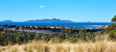 Property 2, 10923 Tasman Highway, Little Swanport TAS 7190 IMAGE 0