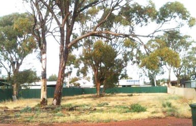 Property 183, 60 Carter Street, Three Springs WA 6519 IMAGE 0