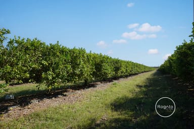 Property 130 Channel Road, WALKAMIN QLD 4872 IMAGE 0
