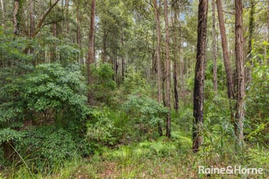 Property 49b Woollamia Road, FALLS CREEK NSW 2540 IMAGE 0