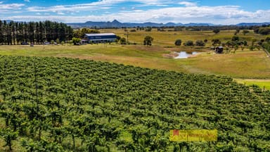 Property Rylstone NSW 2849 IMAGE 0