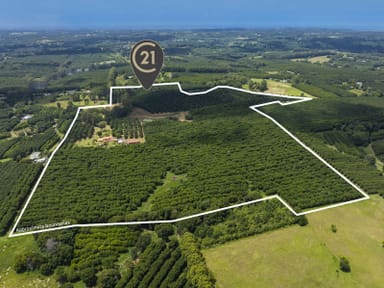 Property 269 Alphadale Road, Lindendale NSW 2480 IMAGE 0
