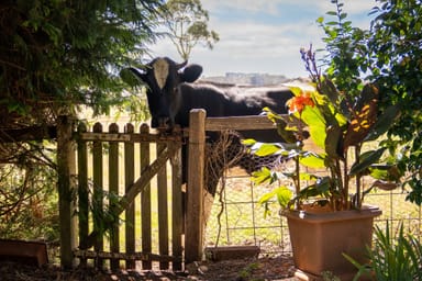 Property 19 Carcoar Street, Neville NSW 2799 IMAGE 0