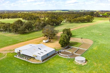 Property Blackwattle and Russell Road, West Cape Howe, Hay Shed Hill and wineries, Frankland River WA 6396 IMAGE 0