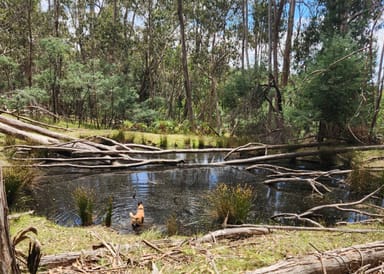 Property 1640 TEHANS ROAD, KERRISDALE VIC 3660 IMAGE 0