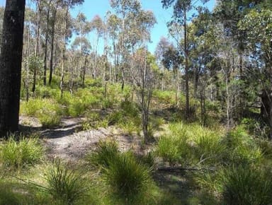 Property Lot 2 Nicklasons Road, PYENGANA TAS 7216 IMAGE 0