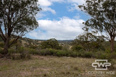 Property 137, 4108 Tent Hill Road, EMMAVILLE NSW 2371 IMAGE 0