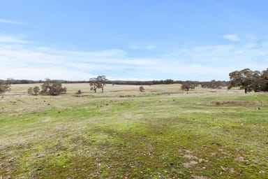 Property 2505 Seymour-Tooborac Road, Tooborac VIC 3522 IMAGE 0