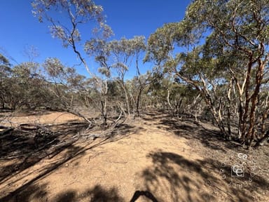 Property Lot 31 Black Hill Road, Cambrai SA 5353 IMAGE 0