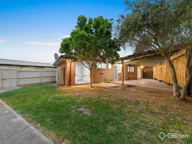 Property 19 Phelan Drive, Cranbourne North VIC 3977 IMAGE 0