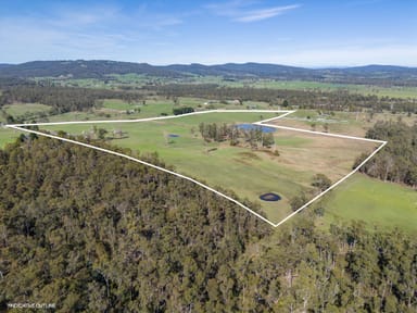 Property 234 Winkleigh Road, EXETER TAS 7275 IMAGE 0