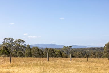 Property 2, Warrigul Toms Creek Road, Newry VIC 3859 IMAGE 0