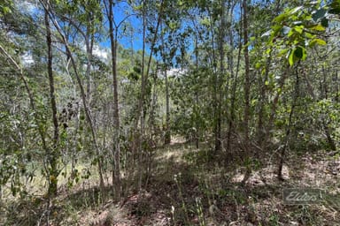 Property Lot 50 Dan Meurant Drive, Curra QLD 4570 IMAGE 0