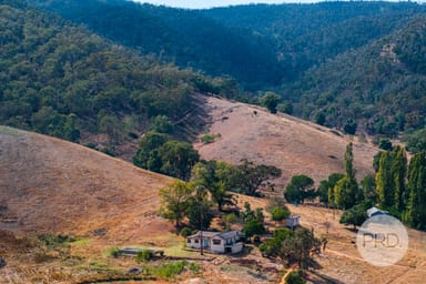 Property 294 Stewarts Road, OBERNE CREEK NSW 2650 IMAGE 0