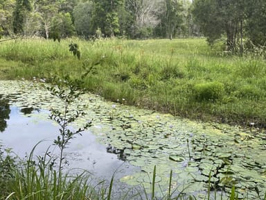Property 329 Redgate Road, New Italy NSW 2472 IMAGE 0