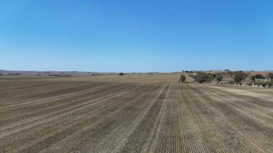 Property 'Ryans' Archie Road, Murray Town SA 5481 IMAGE 0