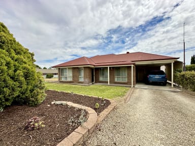 Property 101 South Avenue, BORDERTOWN SA 5268 IMAGE 0