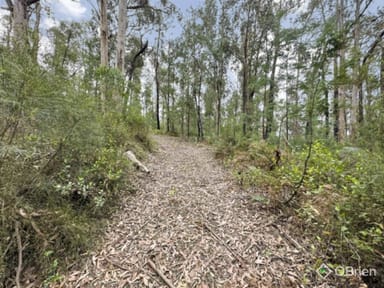 Property CA 10, Section 4, Old Coach Road, Walhalla VIC 3825 IMAGE 0