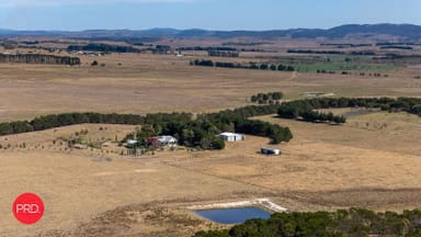 Property 137 Leahys Lane, Lake Bathurst NSW 2580 IMAGE 0