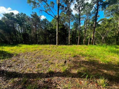 Property 179 Viney Creek Road West, Tea Gardens NSW 2324 IMAGE 0