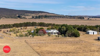 Property 137 Leahys Lane, Lake Bathurst NSW 2580 IMAGE 0