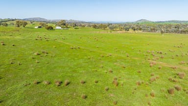 Property 13703 Hume Highway, MULLENGANDRA NSW 2644 IMAGE 0